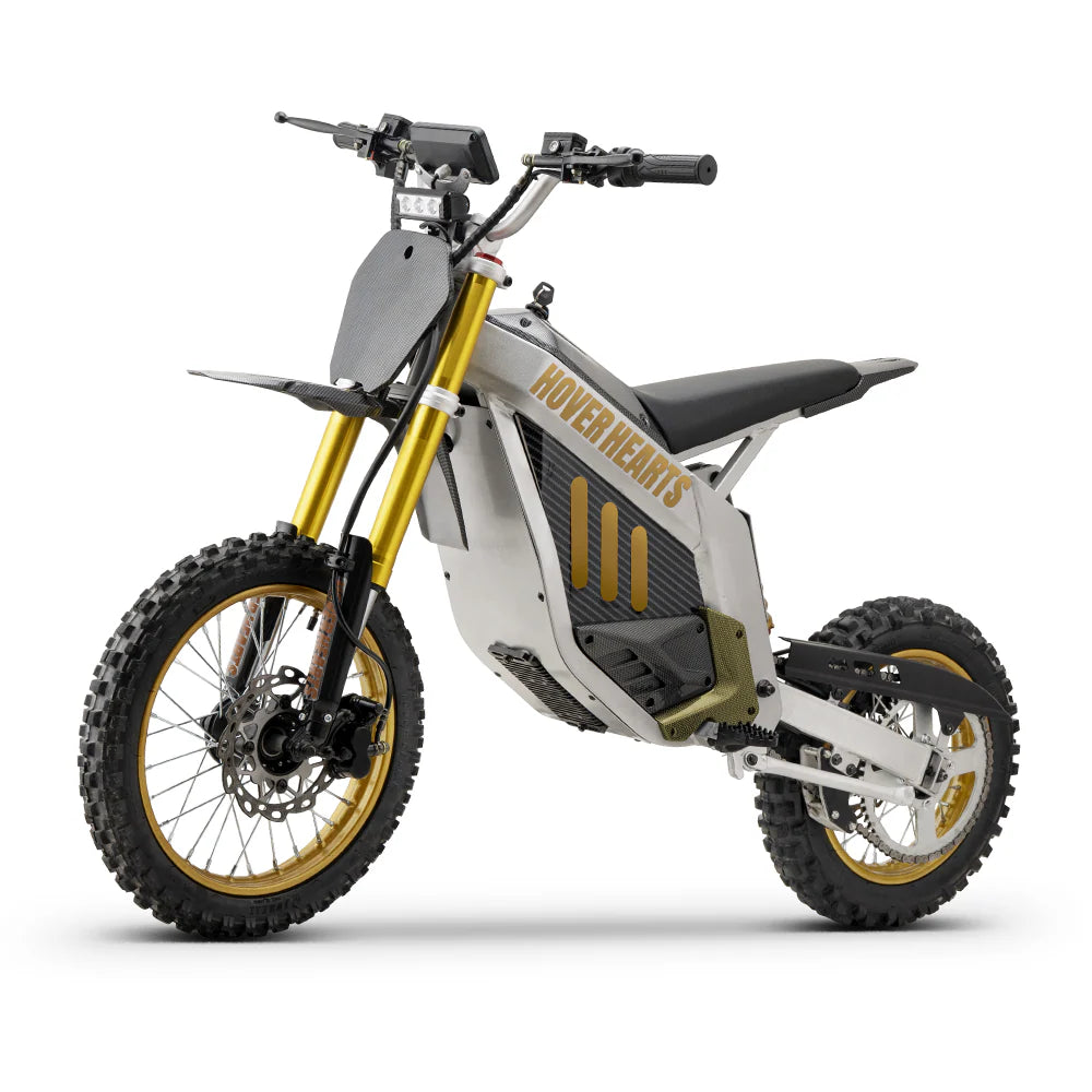 Electric Dirt Bike B1