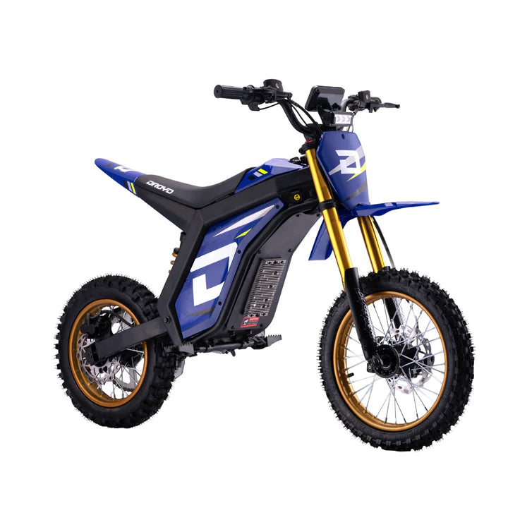 Electric Dirt Bike B2